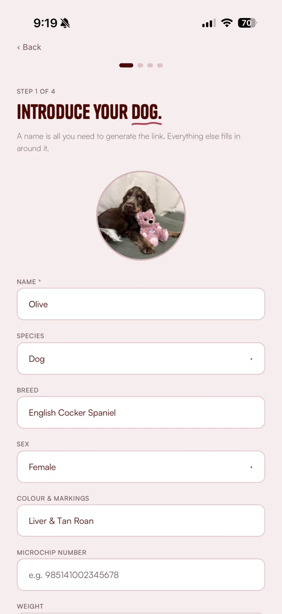 Quirks & All onboarding screen for introducing your dog's profile