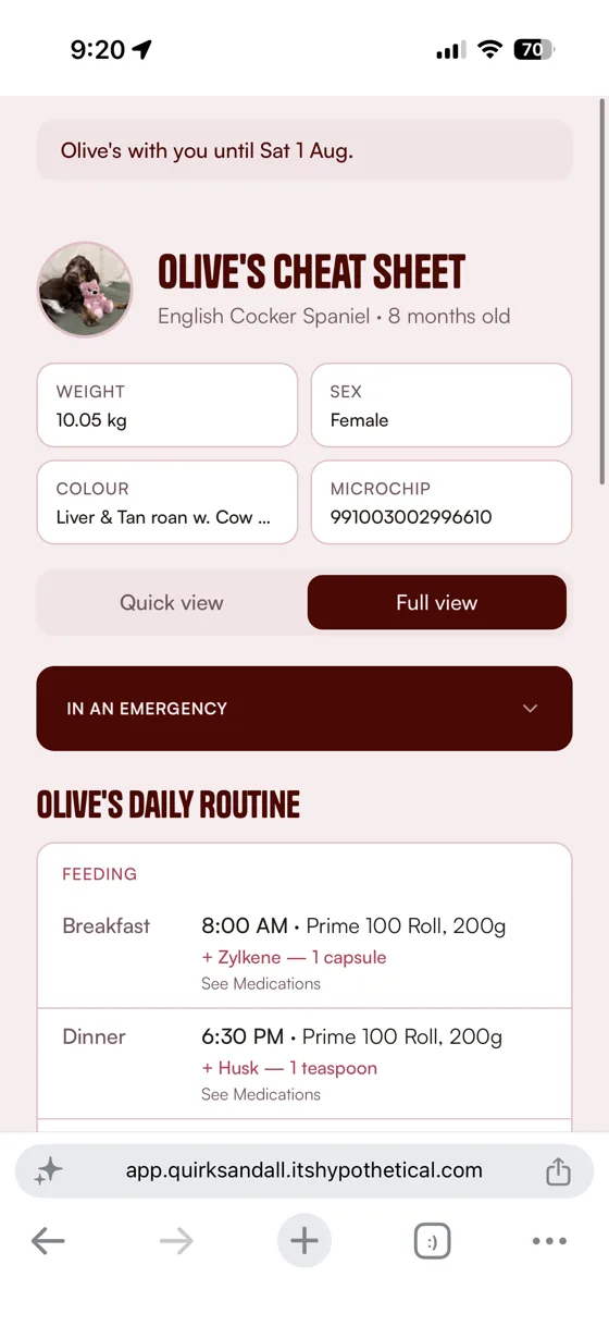 The shared pet care cheat-sheet a stand-in opens in their browser, no app needed